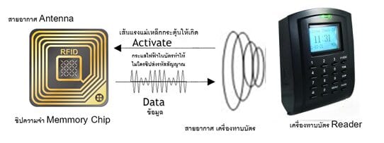 RFID5
