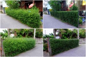 แบบรั้วบ้านน่ามอง